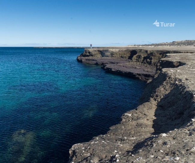 Pennsula de Valdes I Puerto Madryn Clsico