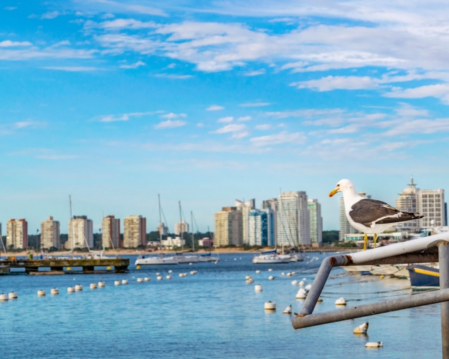 PUNTA DEL ESTE  visita a la ciudad 