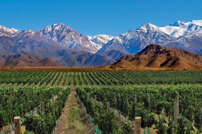 Buenos Aires y Mendoza con Alta Montaa