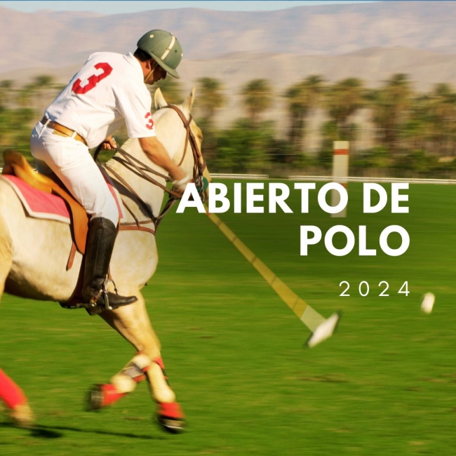 POLO  I  Final  Abierto Argentino de Polo en Palermo  I  Buenos Aires  VIP