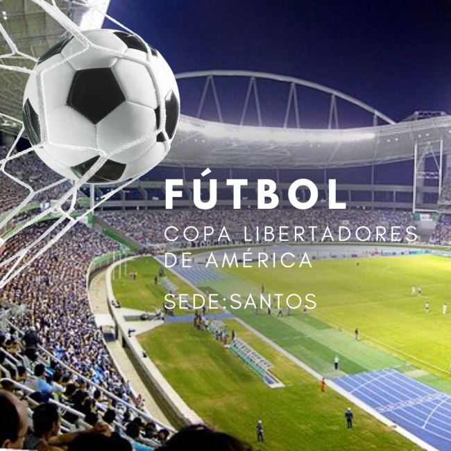 FUTBOL  I Copa Libertadores Botafogo de local I Santos