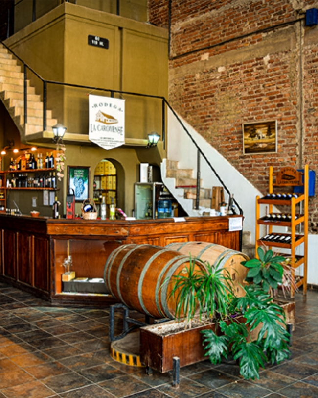 CORDOBA I  VINOS & NATURALEZA