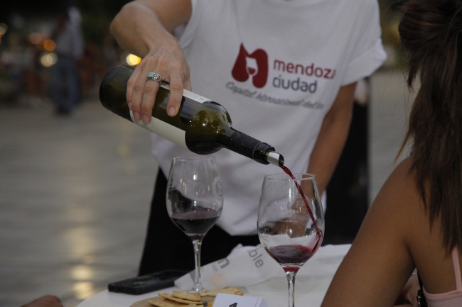 Ruta del vino Argentina y Chile 