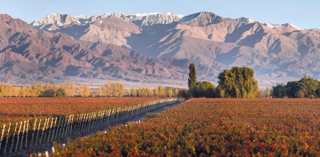 Mendoza  ruta del vino II  Valle de Uco