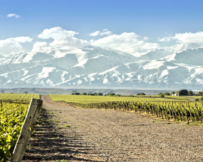 BUENOS AIRES & RUTA DEL VINO                      6 bodegas