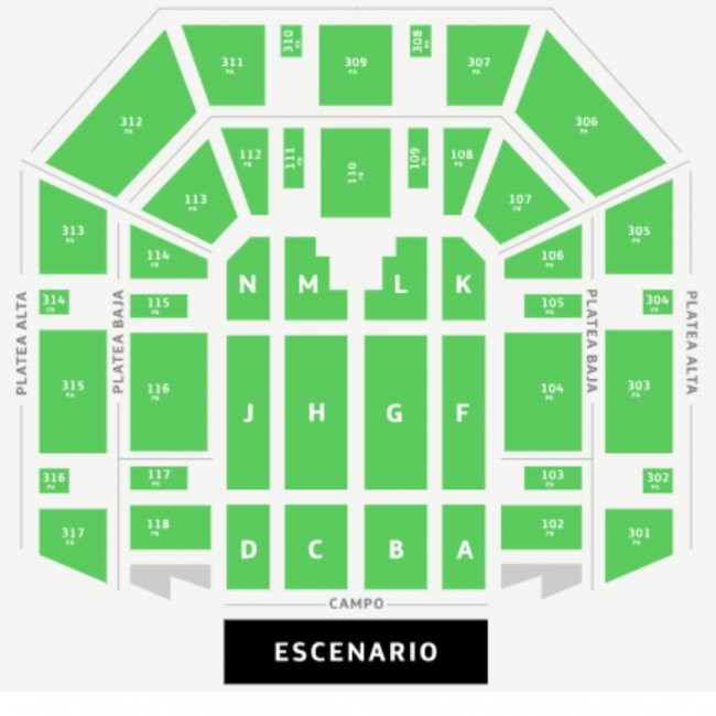 Show 2025 I CHAYANNE  I Buenos Aires